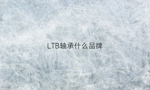 LTB轴承什么品牌