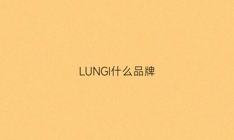 LUNGI什么品牌(lug什么牌子)