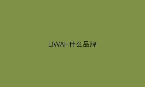 LlWAH什么品牌(wahin什么品牌)