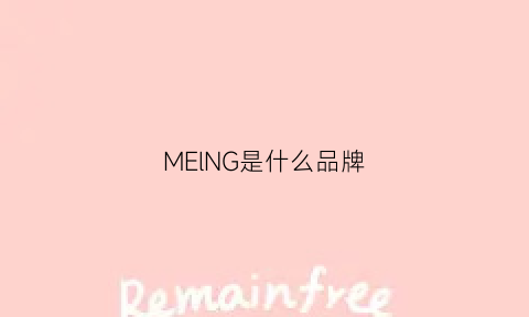 MElNG是什么品牌(melng是什么品牌的调音台)