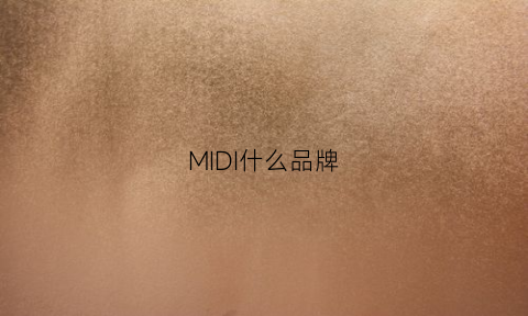 MIDI什么品牌(midi是什么品牌)