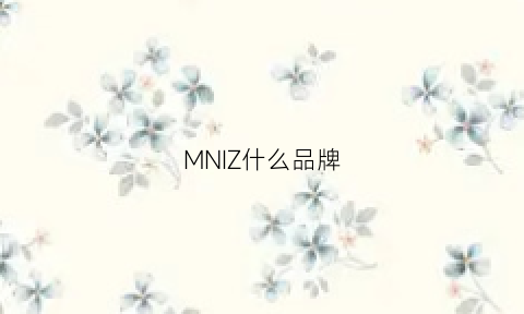 MNIZ什么品牌(mni是什么牌子)