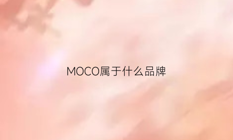 MOCO属于什么品牌