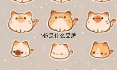 MR是什么品牌(mr是什么品牌电子烟)