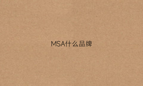 MSA什么品牌(msa是什么品牌)