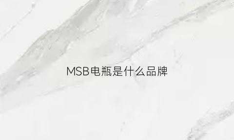 MSB电瓶是什么品牌(电瓶生产日期怎么看)