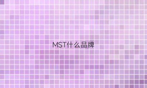 MST什么品牌(MST什么品牌)