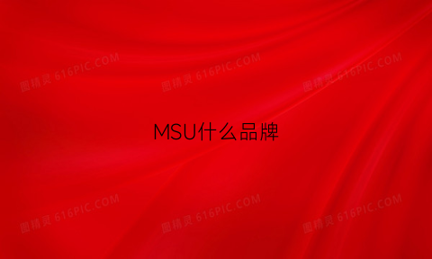 MSU什么品牌(msj是什么品牌)