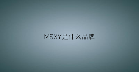 MSXY是什么品牌(msxmara是什么品牌)