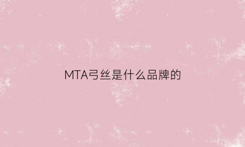 MTA弓丝是什么品牌的