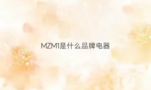 MZM1是什么品牌电器(mzn是什么品牌)