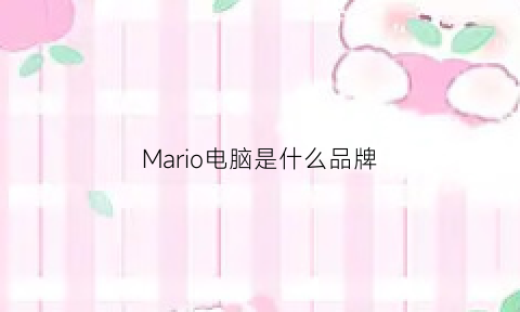 Mario电脑是什么品牌