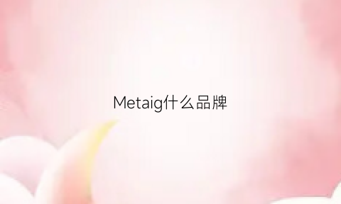 Metaig什么品牌