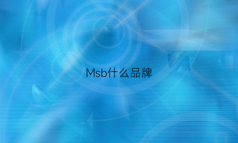 Msb什么品牌(msmln是什么品牌)