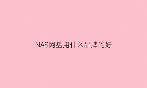 NAS网盘用什么品牌的好(nas网盘用什么品牌的好)