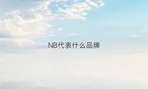 NB代表什么品牌(nb是个什么品牌)