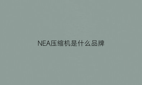 NEA压缩机是什么品牌(nek2168gk压缩机)