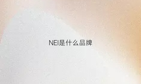 NEI是什么品牌(sunnei是什么品牌)