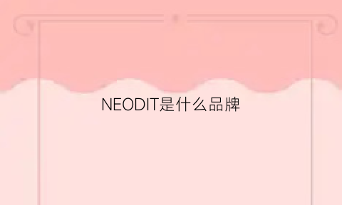 NEODIT是什么品牌