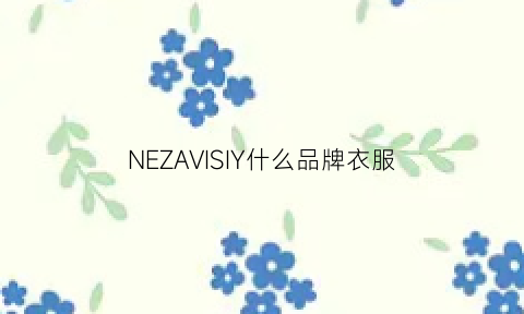 NEZAVISIY什么品牌衣服