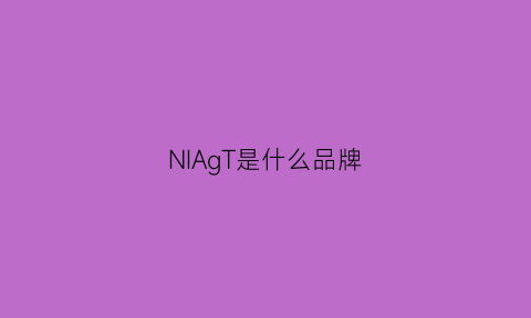 NIAgT是什么品牌