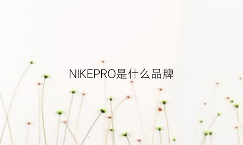 NIKEPRO是什么品牌(nikeprocool)