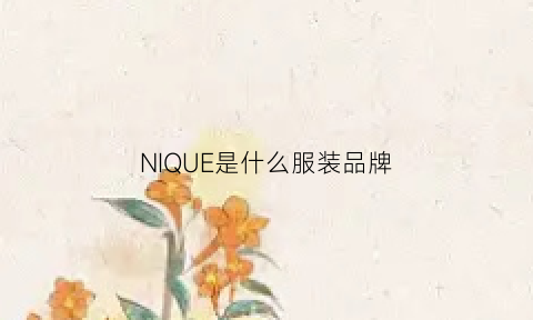 NIQUE是什么服装品牌(niconico牌子衣服贵吗)