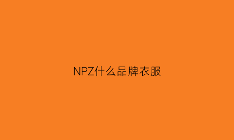 NPZ什么品牌衣服