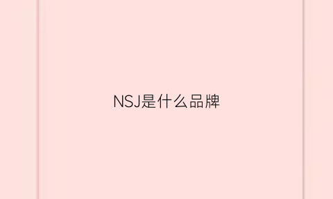 NSJ是什么品牌(品牌ns是什么衣服的牌子)