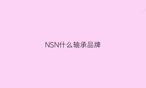 NSN什么轴承品牌(nsb轴承是哪个厂家)