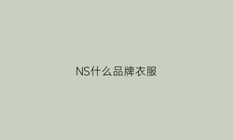 NS什么品牌衣服(商标是ns是什么牌子)