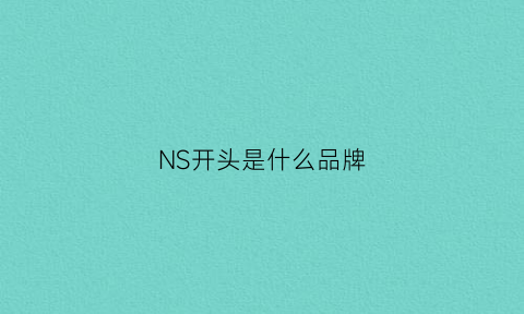 NS开头是什么品牌