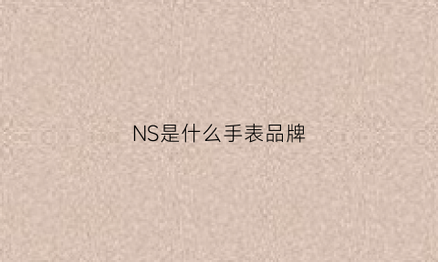 NS是什么手表品牌(nsk手表)