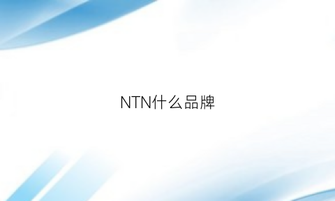 NTN什么品牌