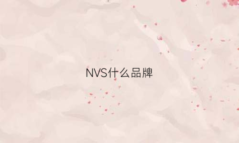 NVS什么品牌(nvsv什么牌子)