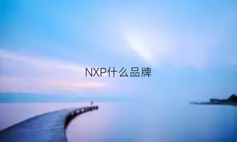 NXP什么品牌