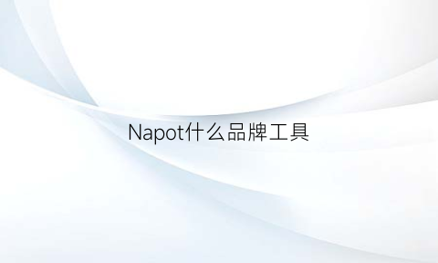 Napot什么品牌工具(nappa真皮是什么意思)