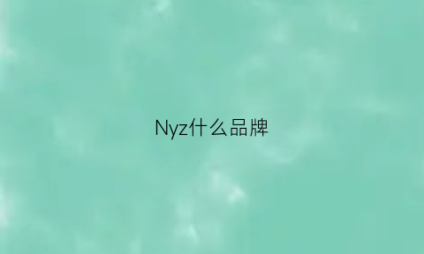 Nyz什么品牌(ny属于哪个品牌)