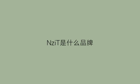 NziT是什么品牌