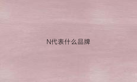 N代表什么品牌