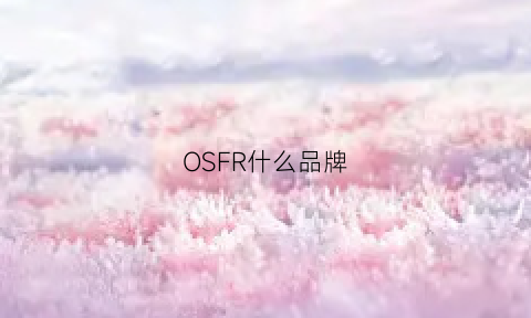 OSFR什么品牌(osc是什么牌子)