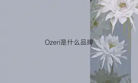 Ozeri是什么品牌(zeroid是什么牌子)