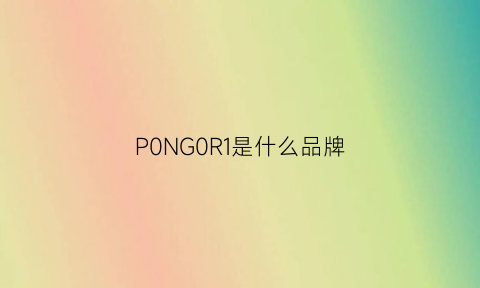 P0NG0R1是什么品牌(p0lo是什么牌子服装)