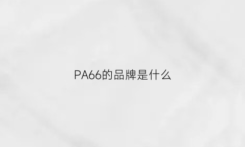 PA66的品牌是什么(pa66中文名称)