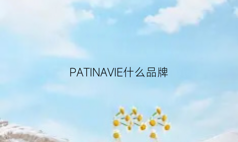 PATINAVIE什么品牌(patavinity品牌介绍)