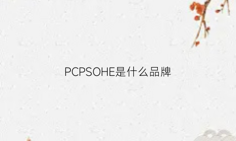 PCPSOHE是什么品牌(pclp品牌怎么读)