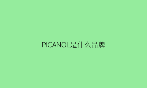 PICANOL是什么品牌