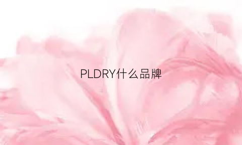 PLDRY什么品牌