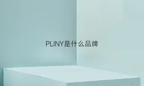 PLINY是什么品牌(pluvdgy是什么品牌)