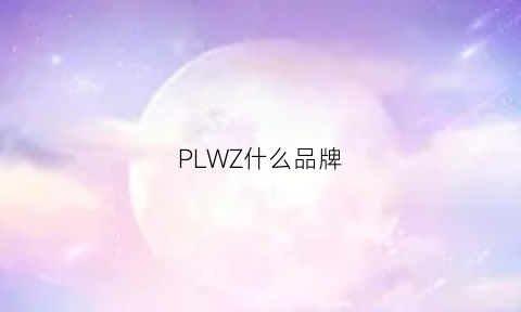 PLWZ什么品牌